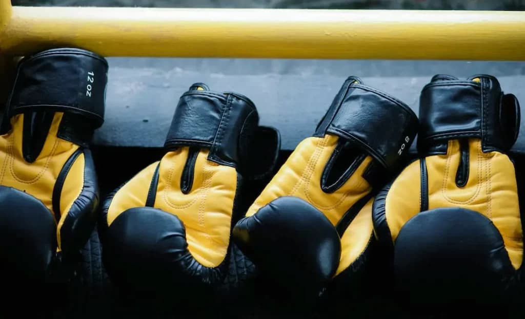 Guantes de boxeo