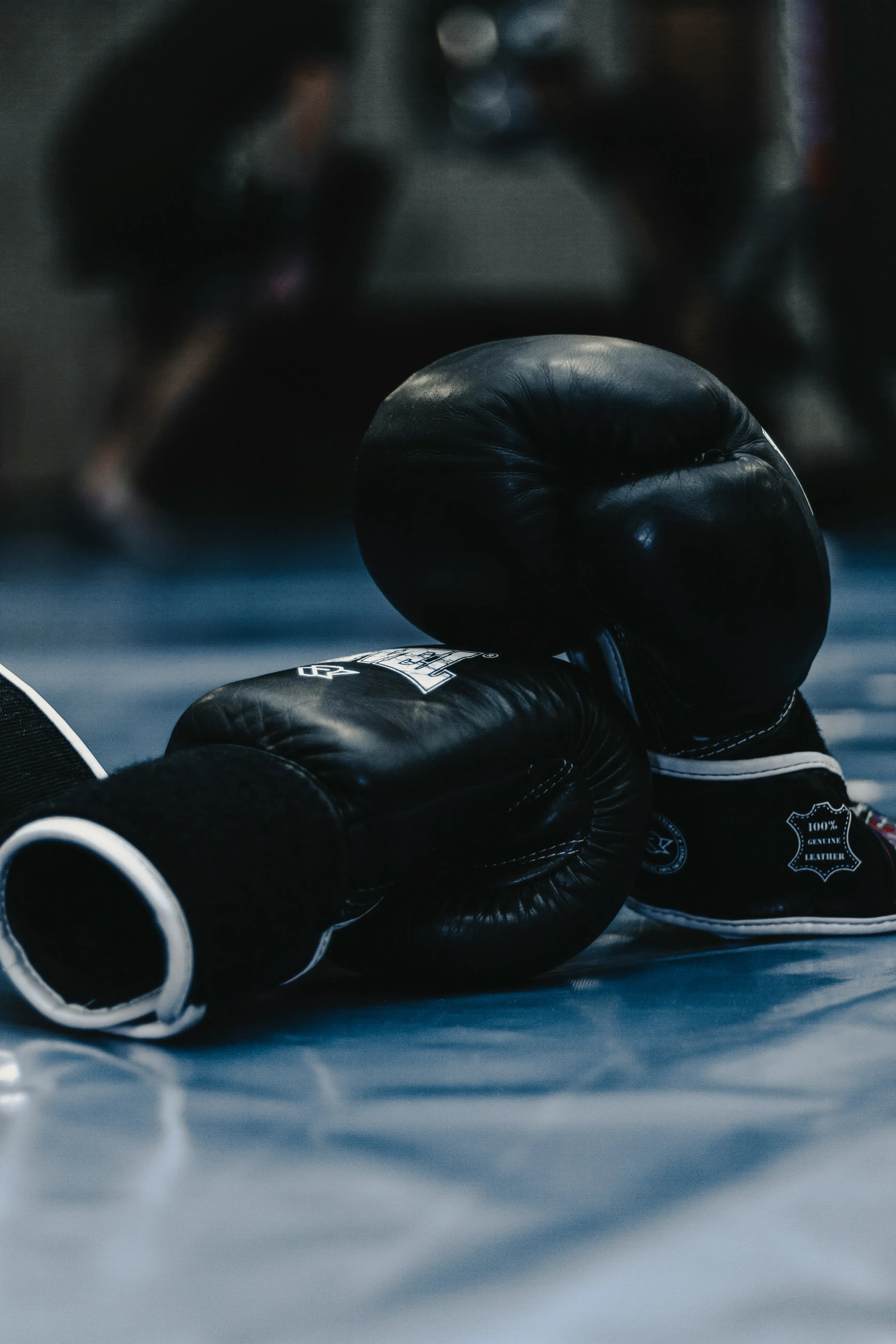 bogdan yukhymchuk XmvuWRDimrg unsplash