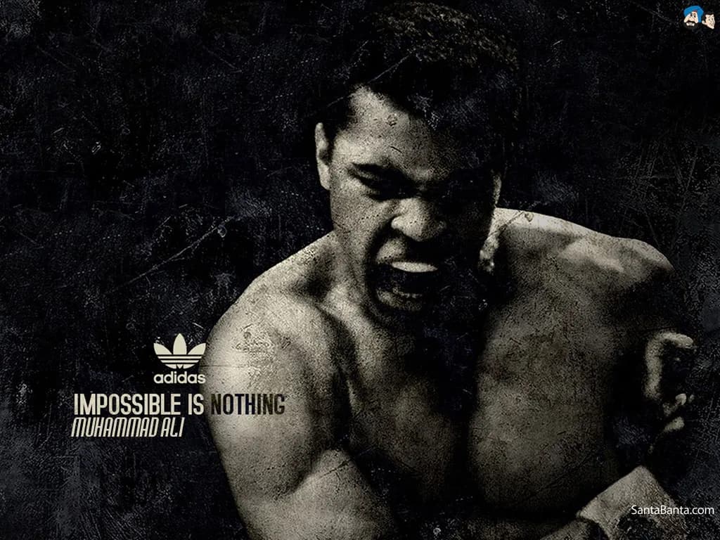 boxing 5a