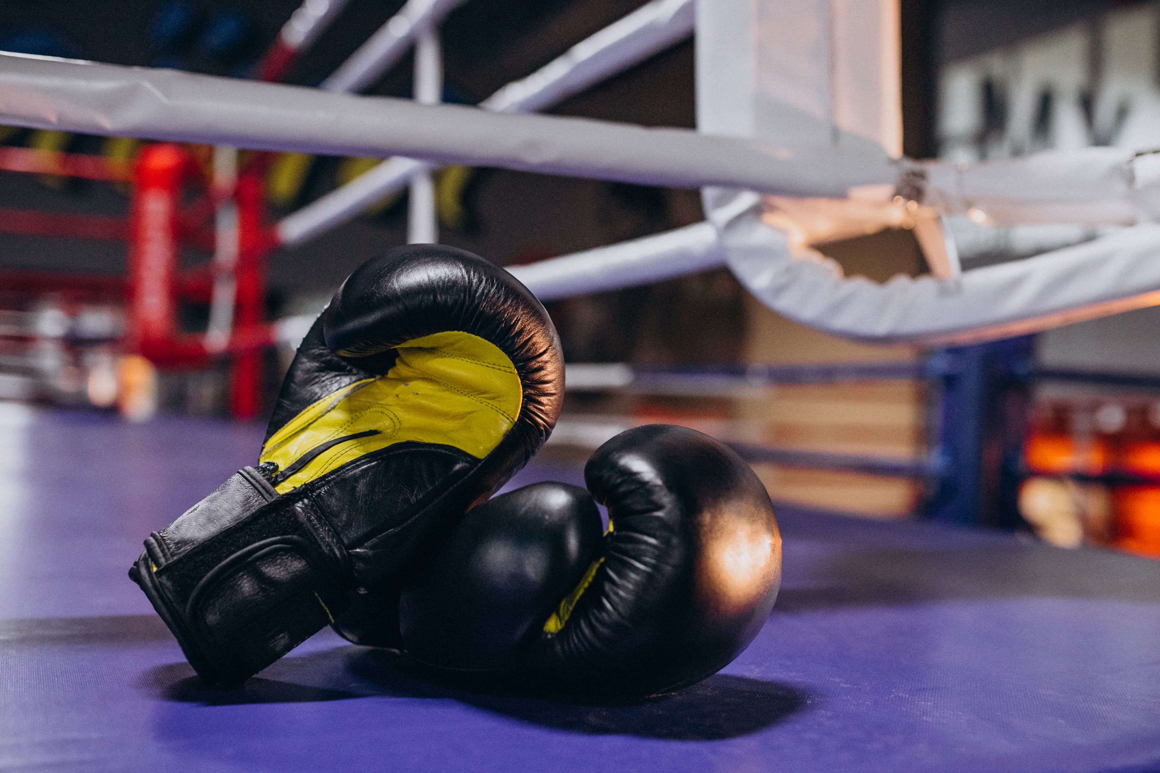boxing gloves lying empty ring