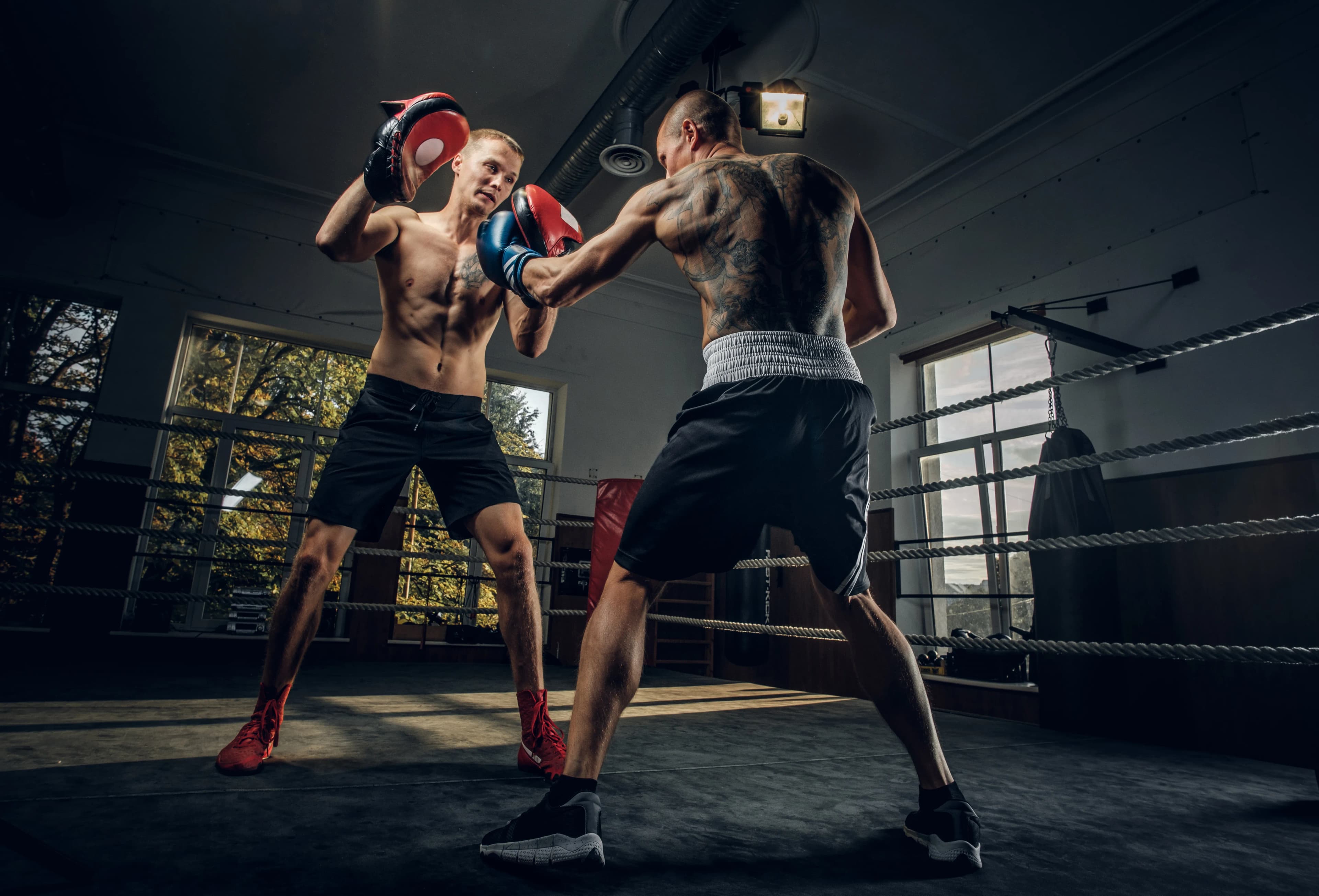 boxer with tattooed back attacking another boxer ring while they have training