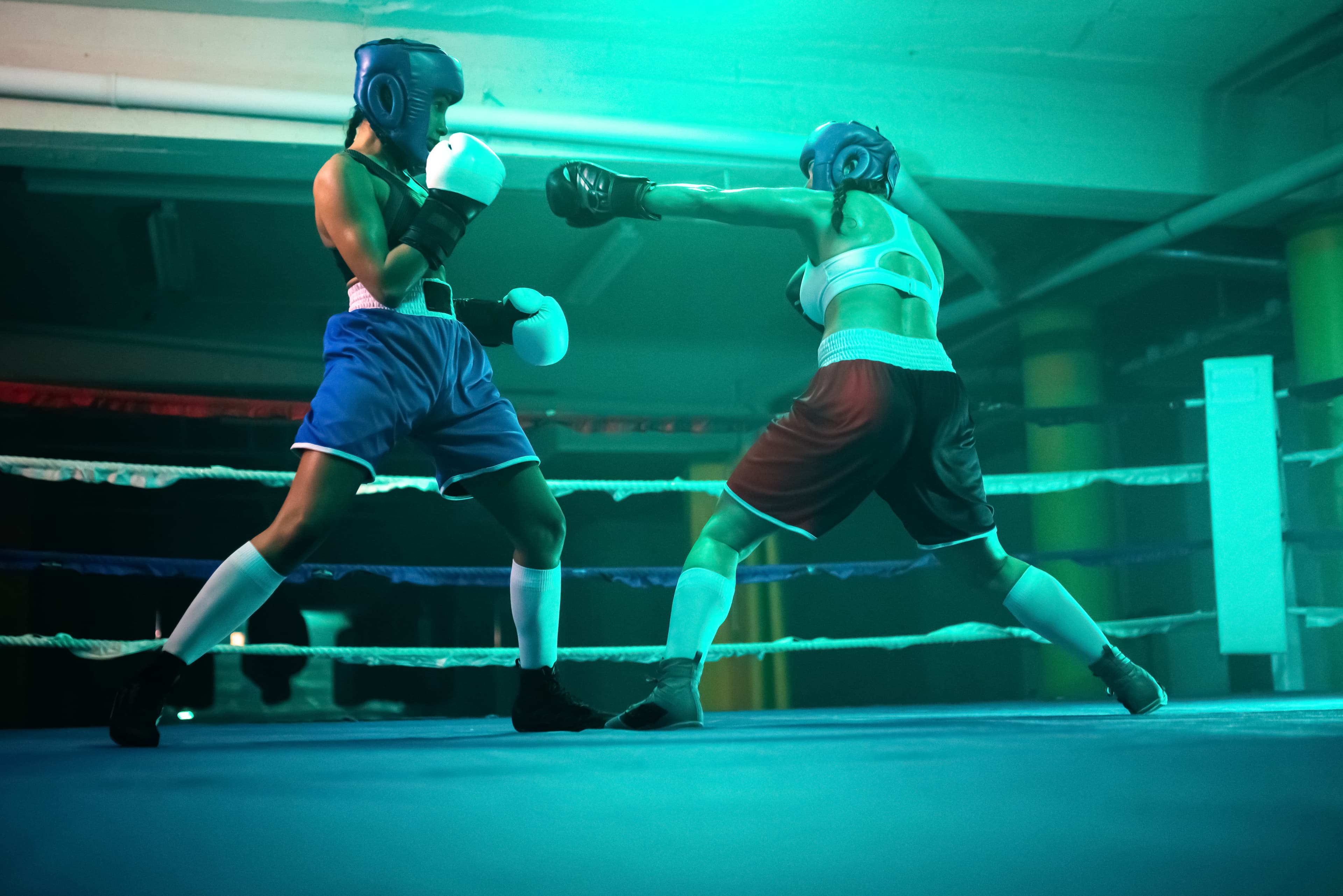 sporty female boxers improving punches ring two girls sportswear boxing blue light ring making quick blows watching each others hands reaction sport activity womens boxing concept