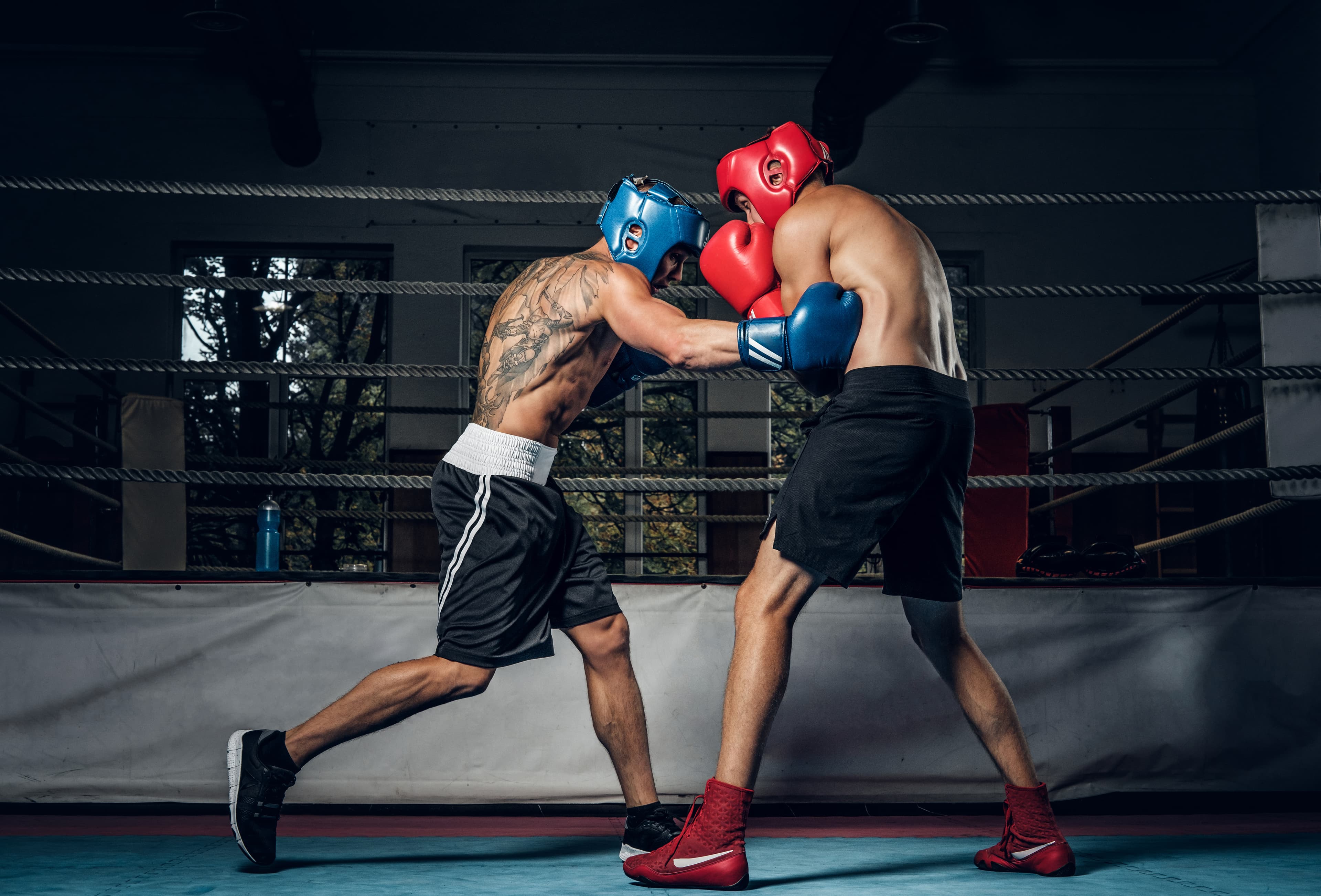 two muscular boxers have competition ring they are wearing helmets gloves